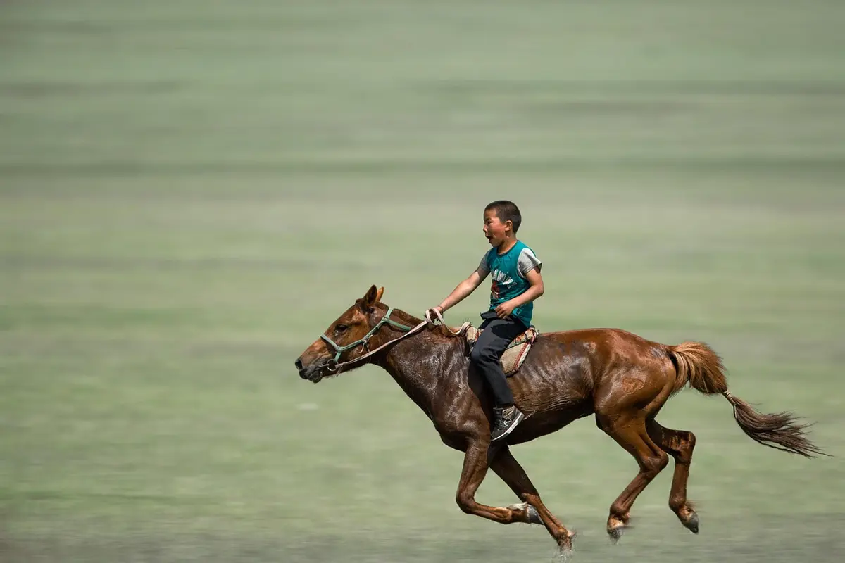 sonhar caindo do cavalo