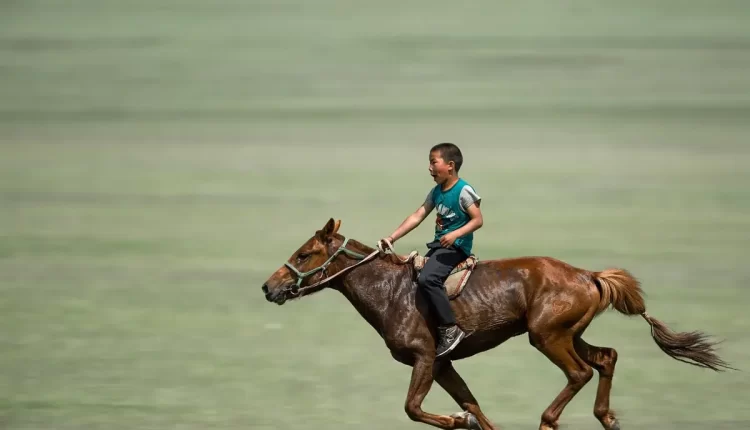 Sonhar com cavalo: símbolo de liberdade e força revelado em sonhos