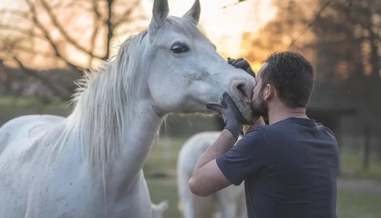 Sonhar caindo do cavalo: 7 maneiras surpreendentes de interpretar esse sonho e transformar sua vida agora!