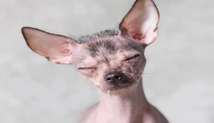 Altura de Xolo Maridueña: 7 Fatos Surpreendentes que Você Precisa Saber Agora!
